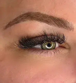 Volume Lashes